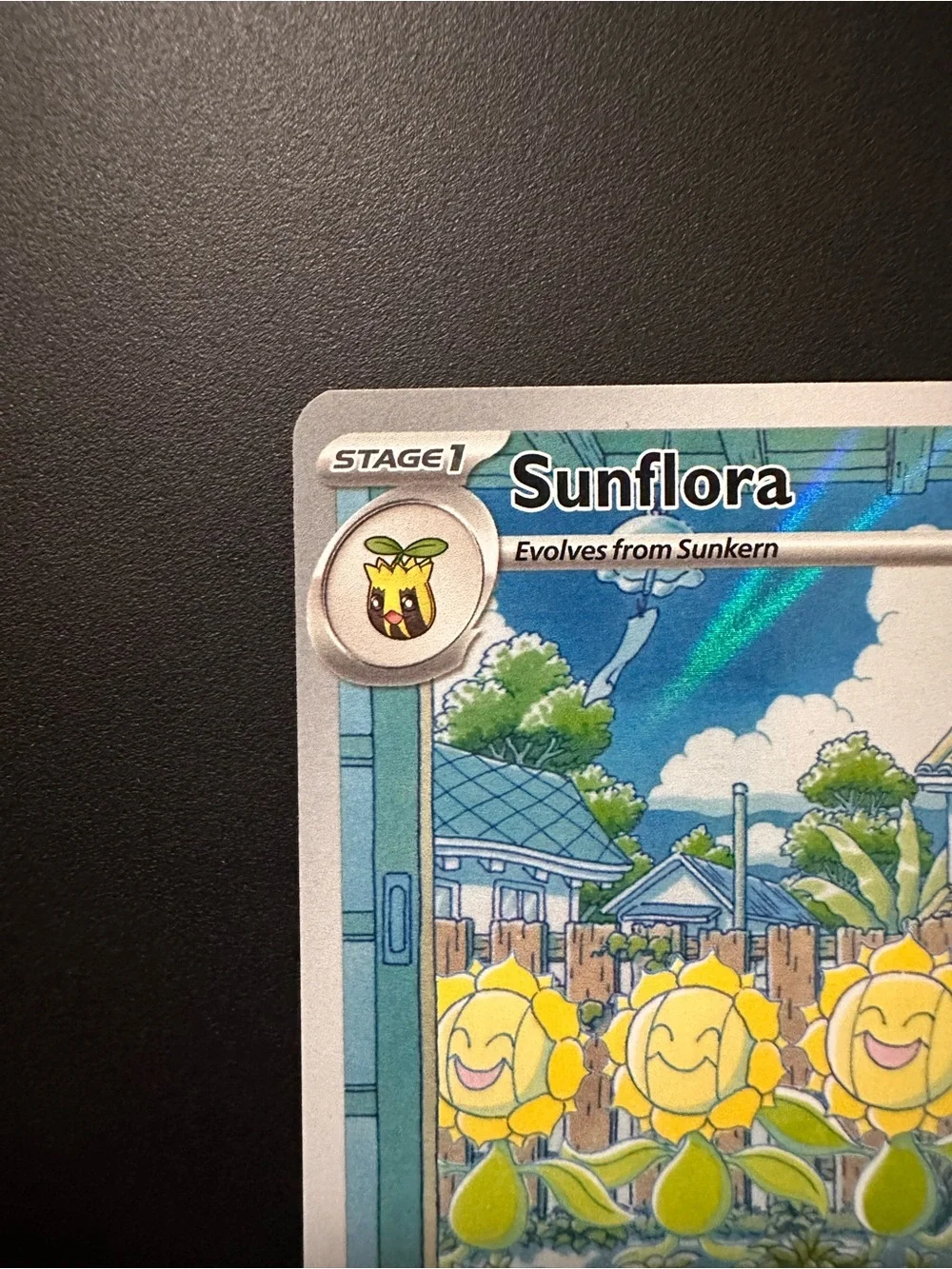 Pokemon card being